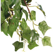Plante artificielle lierre hauteur 25 cm, vert-thumb-3