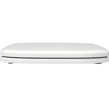 Toilettendeckel aus Kunststoff