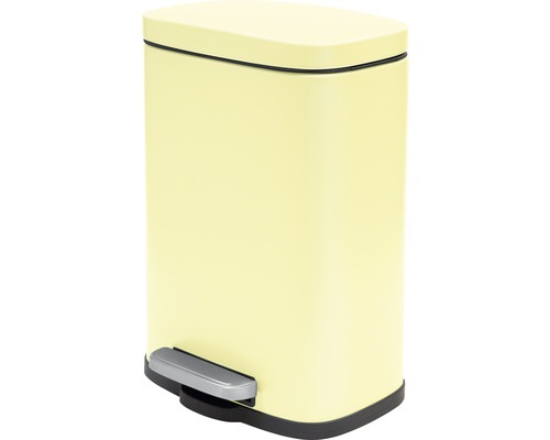 Treteimer aus Stahl mit Deckel