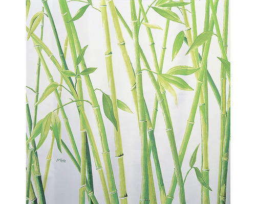 Illustration de tiges et de feuilles de bambou.