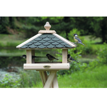 Nichoir avec plusieurs oiseaux dans le jardin