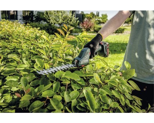 Person schneidet Hecke mit Akku-Heckenschere