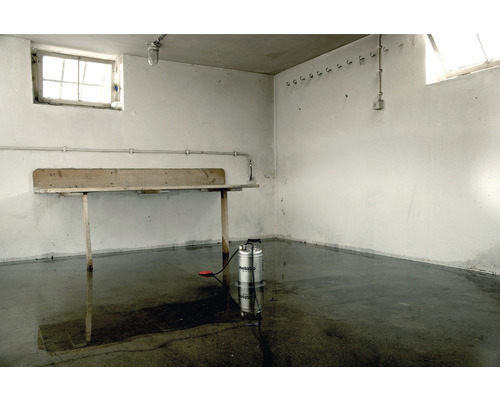 Cave avec sol enduit, plan de travail en bois et pulvérisateur à pression Metallo