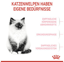 Royal Canin Katzenfutter Kitten 36, 400 g