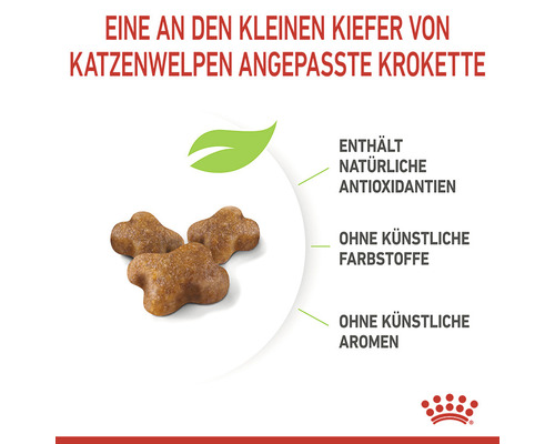 Katzenfutter-Kroketten, angepasst an den Kiefer von Katzenwelpen, mit natürlichen Antioxidantien, ohne künstliche Farbstoffe und Aromen.