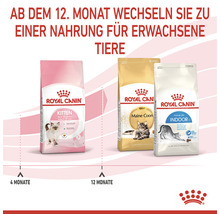 Royal Canin Katzenfutter Kitten 36, 400 g