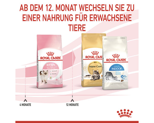 Drei Packungen Royal Canin Katzenfutter für Kitten, Maine Coon und Wohnungskatzen
