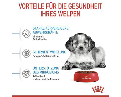 Welpe neben einer Schüssel mit Hundefutter von Royal Canin