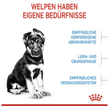 Royal Canin Hundefutter Maxi Puppy 4 KG