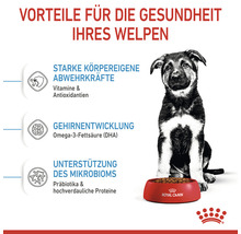 Royal Canin Hundefutter Maxi Puppy 4 KG
