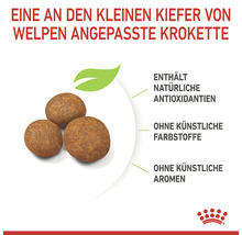 Royal Canin Hundefutter Maxi Puppy 4 KG