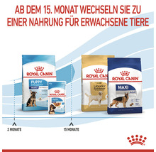 Royal Canin Hundefutter Maxi Puppy 4 KG