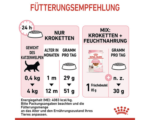Fütterungsempfehlung für Katzen: Nur Kroketten oder eine Mischung aus Kroketten und Feuchtnahrung.