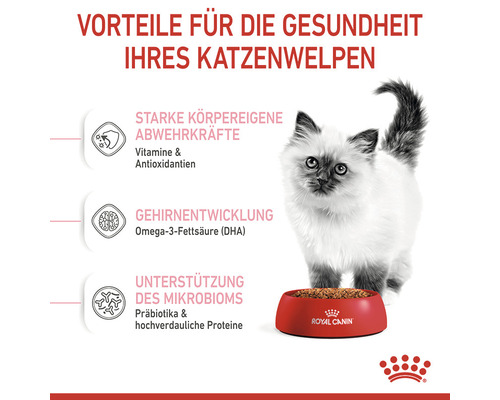 Illustration der gesundheitlichen Vorteile von Royal Canin Katzenfutter für Kätzchen mit Katze und Futternapf
