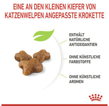 Royal Canin Katzenfutter Kitten 36, 4 kg