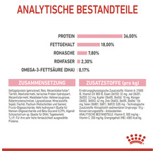 Royal Canin Katzenfutter Kitten 36, 4 kg