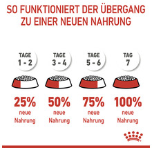 Royal Canin Katzenfutter Kitten 36, 4 kg