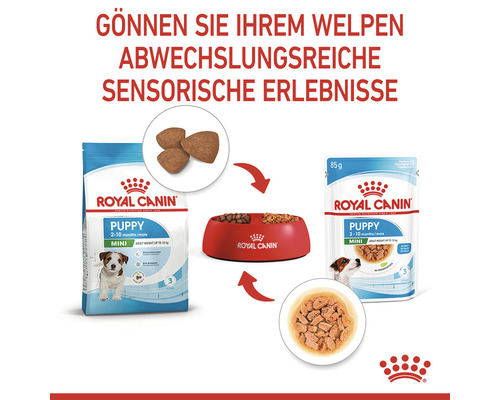 Royal Canin Puppy Mini Welpenfutter im Napf und in der Verpackung