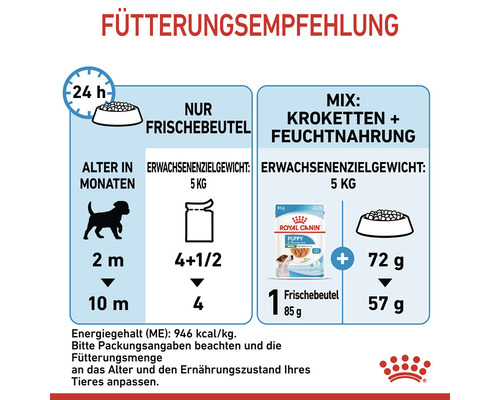 Fütterungsempfehlung für Hundefutter nach Alter und Gewicht