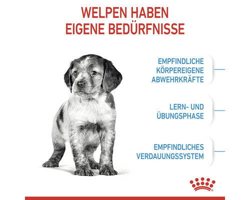 Welpe hat spezielle Bedürfnisse