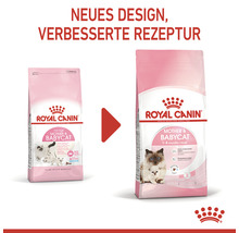 Katzenfutter trocken, ROYAL CANIN Babycat 34, 2 kg