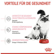 Katzenfutter trocken, ROYAL CANIN Babycat 34, 2 kg