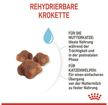 Katzenfutter trocken, ROYAL CANIN Babycat 34, 2 kg