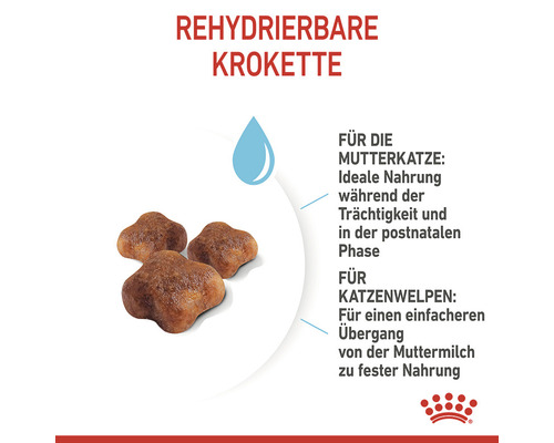 Rehydrierbare Kroketten für Katzen und Katzenwelpen