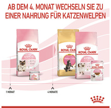Katzenfutter trocken, ROYAL CANIN Babycat 34, 2 kg