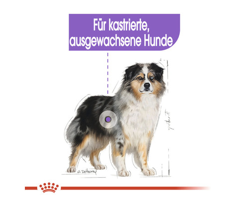 Illustration eines Hundes mit dem Schriftzug Für kastrierte, ausgewachsene Hunde