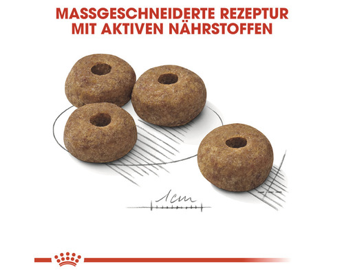 Vier Kroketten für Tiernahrung mit Loch