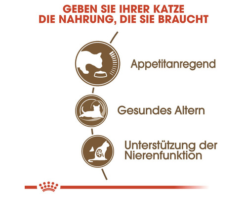 Appetitanregung, gesundes Altern und Unterstützung der Nierenfunktion für Katzen