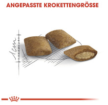 Royal Canin Katzenfutter Ageing +12, 4 kg