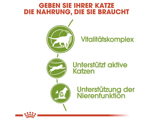 Vorteile des Katzenfutters: Vitalitätskomplex, unterstützt aktive Katzen und die Nierenfunktion