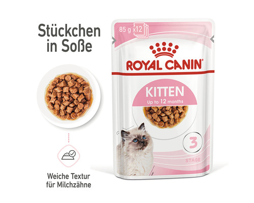 Royal Canin Kitten Katzenfutter in Sauce für Kätzchen bis 12 Monate
