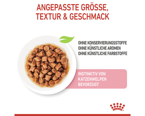 Katzenfutter in einer Schale, geeignet für Kätzchen