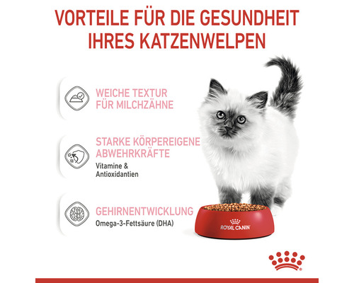 Katzenwelpe mit Futternapf und Informationen zu den gesundheitlichen Vorteilen des Futters