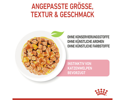 Katzenfutter mit angepasster Größe, Textur und Geschmack, ohne Konservierungsstoffe, ohne künstliche Aromen, ohne künstliche Farbstoffe