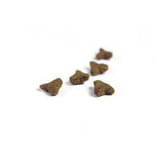 Katzentrockenfutter Stückchen