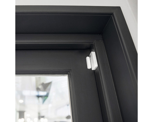 Porte avec contact de porte et de fenêtre installé