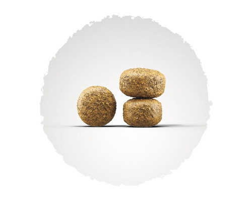 Drei runde Hundefutter-Kroketten