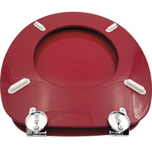 Roter WC-Sitz mit Befestigungsmaterial