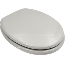 Abattant de WC en céramique sanitaire