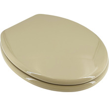 Abattant de WC en plastique