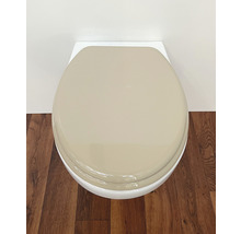 Image de toilettes avec un couvercle de toilette fermé