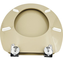 Abattant de WC avec fixation
