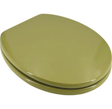 Abattant de WC en plastique