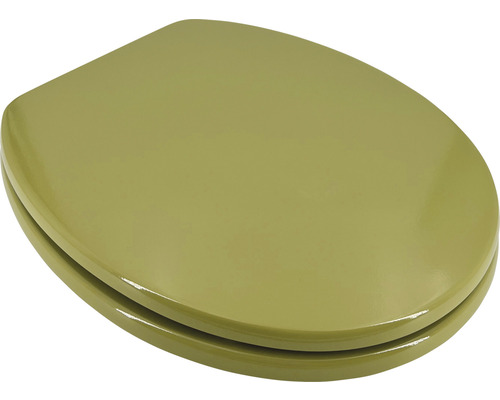 Abattant de WC en plastique