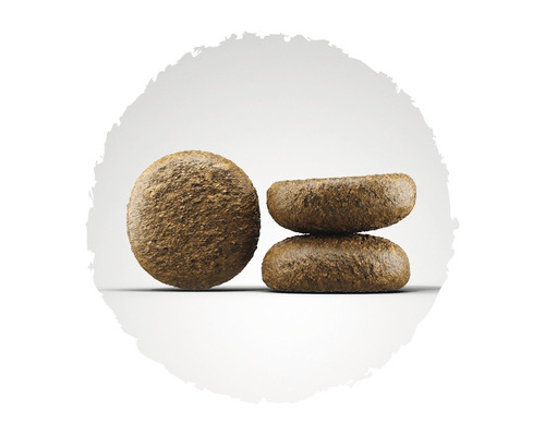 Gros plan de nourriture sèche pour chiens