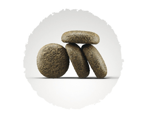 Bouchées de nourriture pour chien empilées